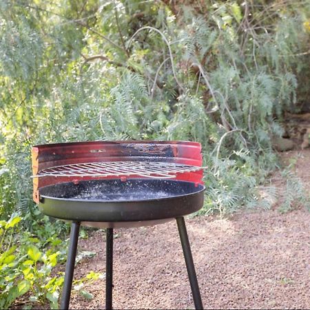 Casita Entre Vinedos, Experiencia Rural, Ideal Ninos. Tegueste Εξωτερικό φωτογραφία