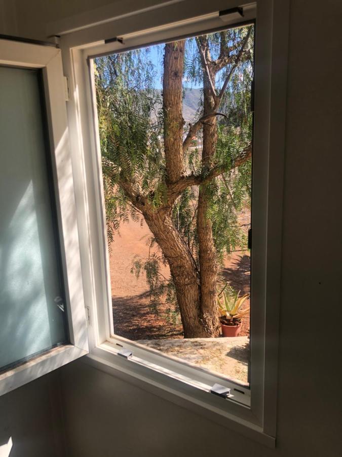 Casita Entre Vinedos, Experiencia Rural, Ideal Ninos. Tegueste Εξωτερικό φωτογραφία