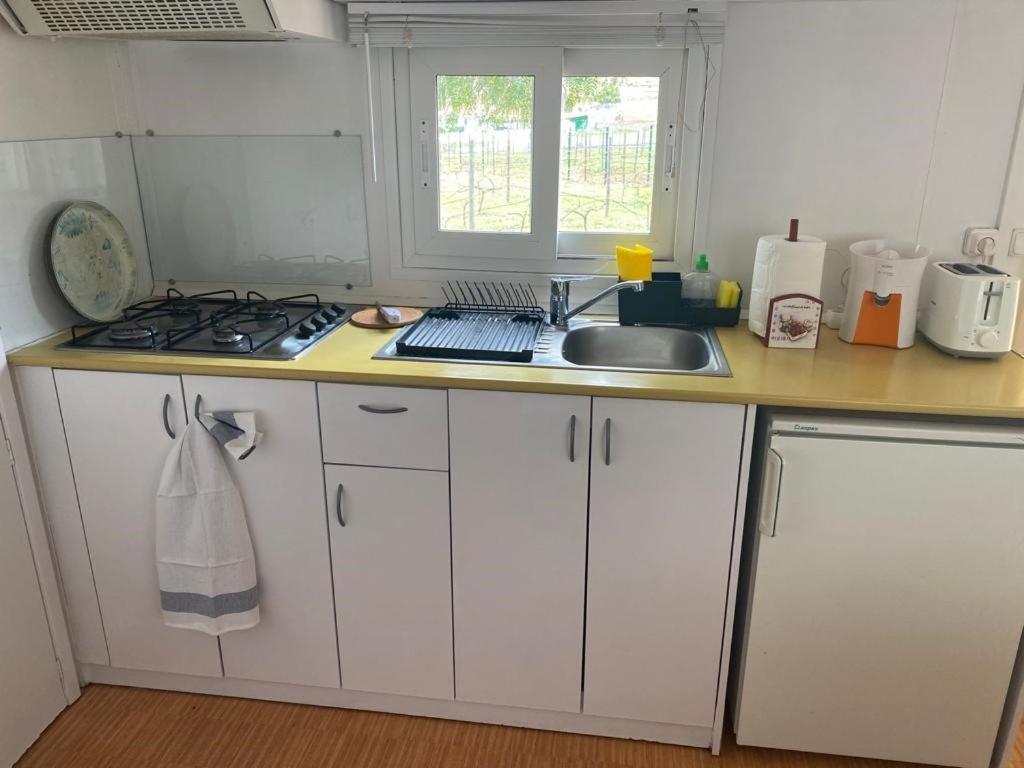 Casita Entre Vinedos, Experiencia Rural, Ideal Ninos. Tegueste Εξωτερικό φωτογραφία