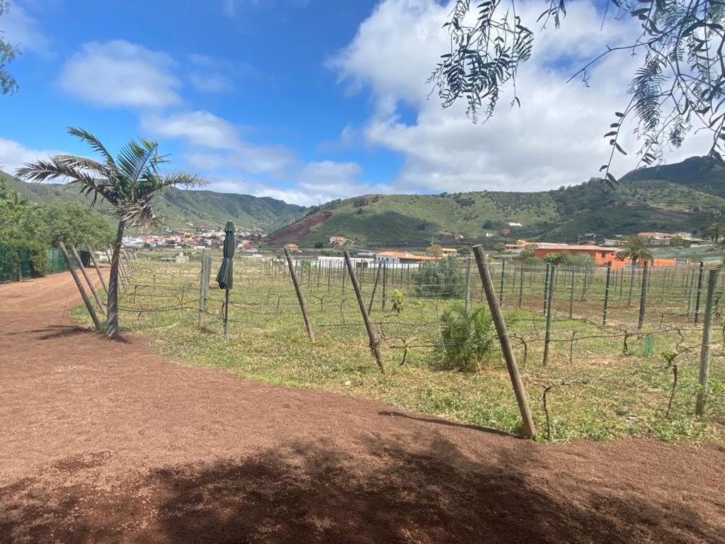 Casita Entre Vinedos, Experiencia Rural, Ideal Ninos. Tegueste Εξωτερικό φωτογραφία