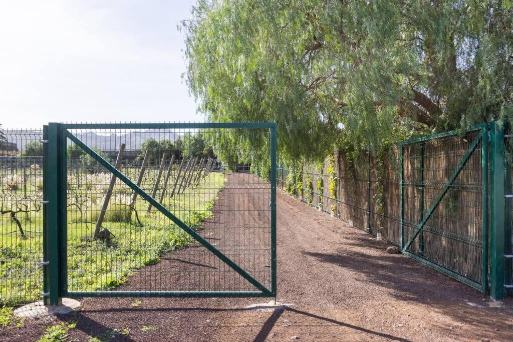 Casita Entre Vinedos, Experiencia Rural, Ideal Ninos. Tegueste Εξωτερικό φωτογραφία
