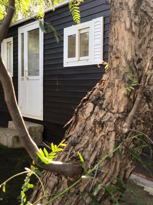 Casita Entre Vinedos, Experiencia Rural, Ideal Ninos. Tegueste Εξωτερικό φωτογραφία