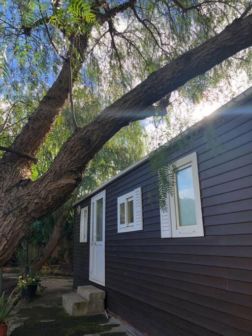 Casita Entre Vinedos, Experiencia Rural, Ideal Ninos. Tegueste Εξωτερικό φωτογραφία