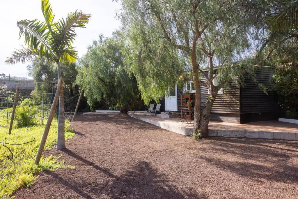 Casita Entre Vinedos, Experiencia Rural, Ideal Ninos. Tegueste Εξωτερικό φωτογραφία